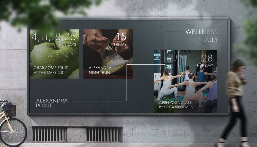 新昌县画册设计公司如何进行品牌审核