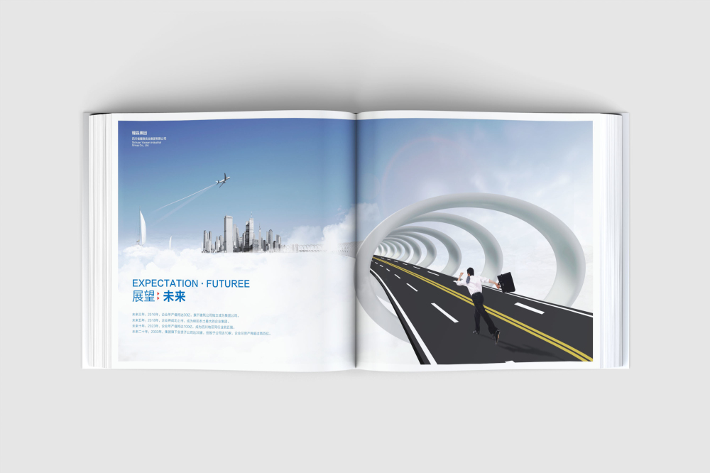 新昌县画册设计